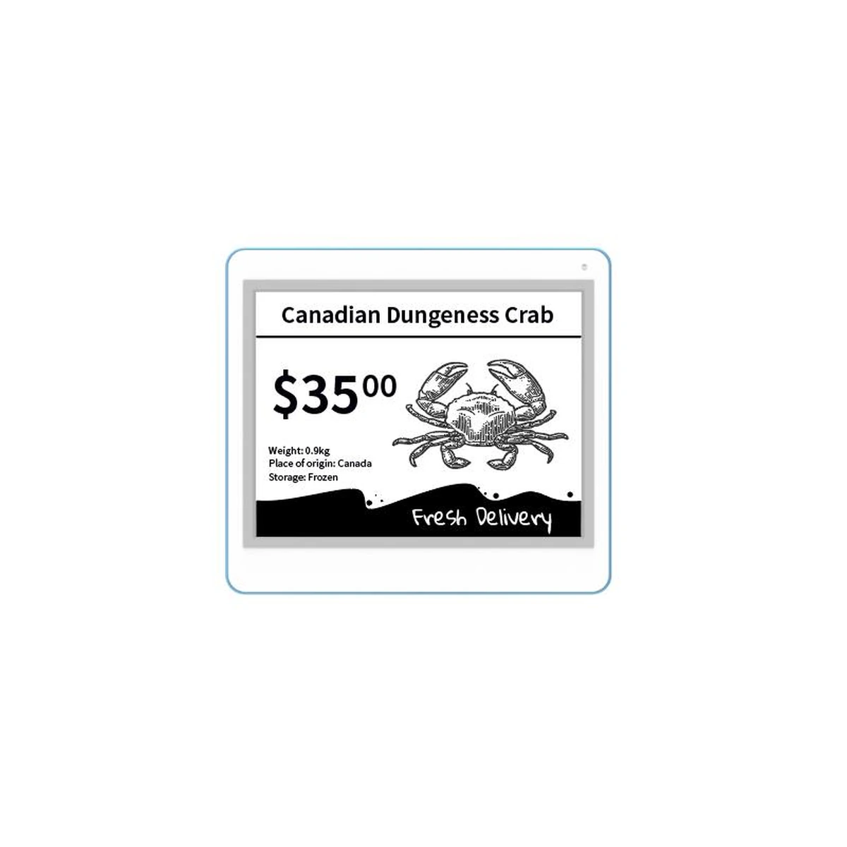 Lumitag DS042F electronic shelf label